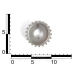 Шкив зубчатый ВАЗ 2108-099 вала коленчатого, маленький, 8 кл., дв. 1,5 «звезда», Pegas Шкив зубчатый ВАЗ 2108-099 вала коленчатого, маленький, 8 кл., дв. 1,5 «звезда», Pegas